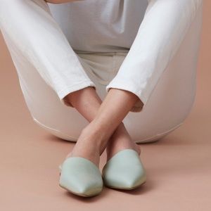 Everlane Pointed Slide Flats
